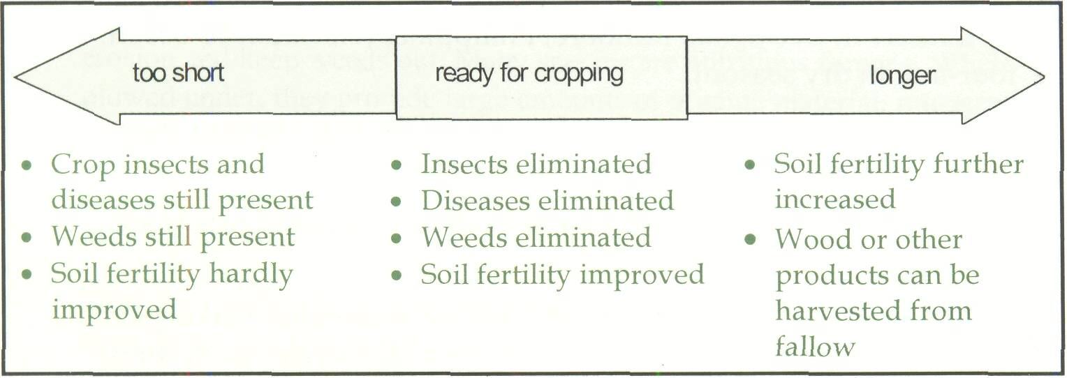 4.2 Improved fallows